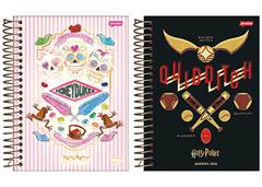 AGENDA PLANNER 2024 HARRY POTTER 352F