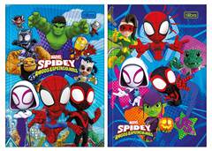 CAD.BROCHURA 1/4 80F SPIDEY