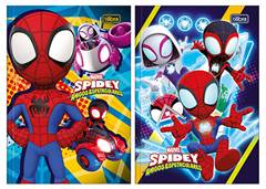 CAD.BROCHURA 1/4 80F SPIDEY