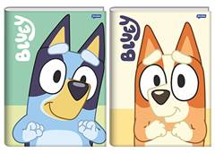 CAD.C.D BROCHURAO BLUEY 80F