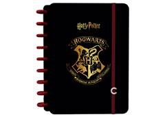 CAD. INTELIGENTE HARRY POTTER G 1X1 80F