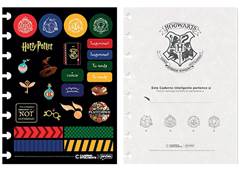 CAD. INTELIGENTE HARRY POTTER M  1X1 80F