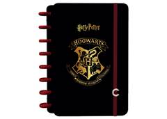 CAD. INTELIGENTE HARRY POTTER M  1X1 80F