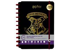 CAD.INTELIGENTE 1/4 HARRY POTTER 80F