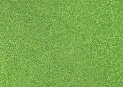 FOLHA EVA 40X60 GLITER C/5 VERDE PRGL093