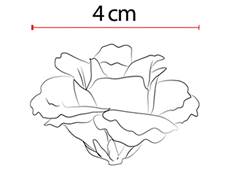 BOUQUET ROSA X12 28CM VERMELHO OUTONO