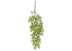 FOLHAGEM COST ADAO 90CM PLANTA X33 VERDE