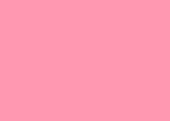 FOLHA EVA 40X48 C/10 PINK GL135