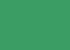 FOLHA EVA  40X48 C/10 VERDE BANDEIRGL129