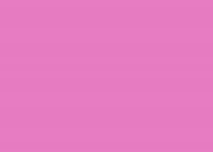 FOLHA EVA 40X48 C/10 PINK GL114