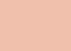 FOLHA EVA 40X60 C/10 CARAMELO GL145