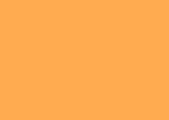 FOLHA EVA 40X60 C/10 LARANJA GL150
