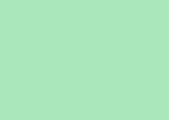 FOLHA EVA 40X60 C/10 VERDE PALIDO GL168