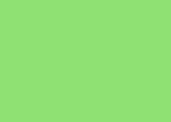 FOLHA EVA 90X180CM C/1 VERDE LIMAO