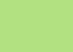 FOLHA EVA 40X47CM C/10 VERDE CLARO