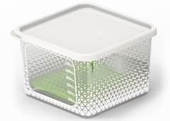 POTE QUAD FRESH 1,5L C/BANDEJA POTTER