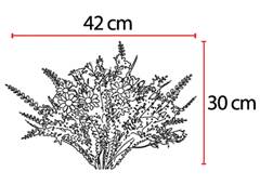 FOLHAGEM MARGARIDA 37CM PLANTA X14 BRANC