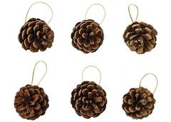 ENF PINHAS NATURAIS CLASSICA 5CM C/6