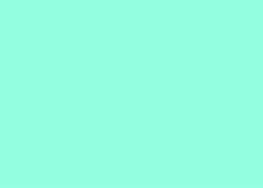 FOLHA EVA  40X60 C/10 VERDE GL341