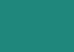 FOLHA EVA  40X48 C/10 PIA VERDE GL337