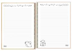 CAD.C.DURA CAPYCLUB 10X1 160F