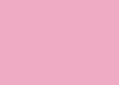 CARTOLINA COLOR SET MAIS 48X66 ROSA