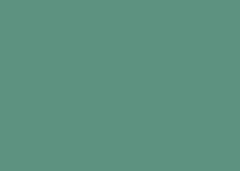 CARTOLINA COLOR SET MAIS 48X66 VERDE ESC