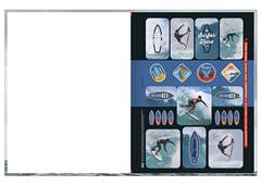 CAD.C.D BROCHURAO GABRIEL MEDINA 80F