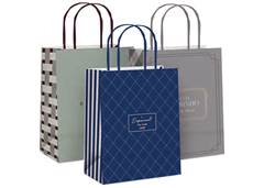 SACOLA PAPEL CASUAL FEMININA 26X19,5X9 M