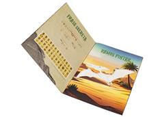 LIVRO MUNDO DOS MINDINOS PTERPDACTILO