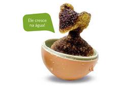 OVO REPTIL SURPRESA ZOOP 4,6X6,5CM SORTIDO
