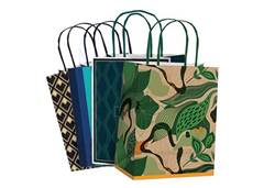 SACOLA PAPEL CASUAL MASC 21,5X15X8 P