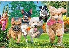 QUEBRA CABECA MINI CORRIDA CANINA 1000PCS