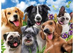 QUEBRA CABECA SELFIE PETS 500PCS