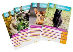 JOGO TRUNFO GATOS 04249