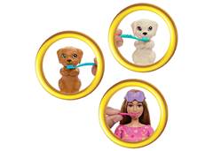 BONECA BARBIE FESTA DO PIJAMA COM CACHORRO