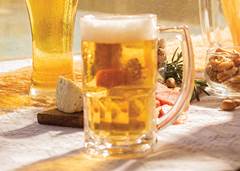 COPO P/CERVEJA BRISTOL 340ML NADIR 5911