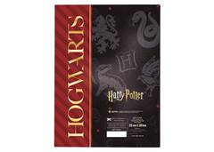 PASTA C/ABA/ELASTICO OFICIO HARRY POTTER  DAC