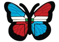 PINS CHARMINHO EVA BORBOLETA 3X2,3CM