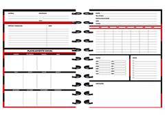 CAD. DE DISCO UNIVERSITARIO 10/1 80F FLAMENGO 2