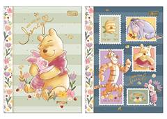 CAD.C.D BROCHURA COLEGIAL POOH 80F