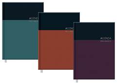 AGENDA PERMANENTE COLOR 7986