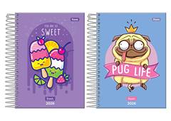 AGENDA ESP ESC EVER JOVENS 176F SORTIDO