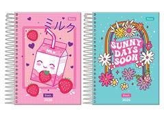 AGENDA ESP ESC EVER JOVENS 176F SORTIDO