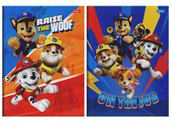 CAD.BROCHURAO PAW PATROL 80F