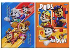 CAD.BROCHURAO PAW PATROL 80F
