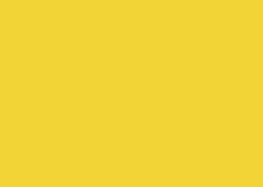 FOLHA EVA  40X48 C/10 AMARELO 011