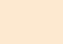 FOLHA EVA  40X48 C/10 BEGE CLARO 024