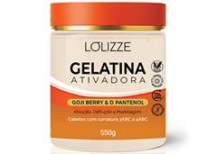 GELATIN LOLIZZE 550G ATIVADORA