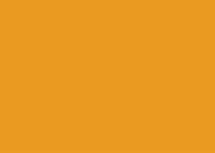 FOLHA EVA  40X48 C/10 LARANJA 008